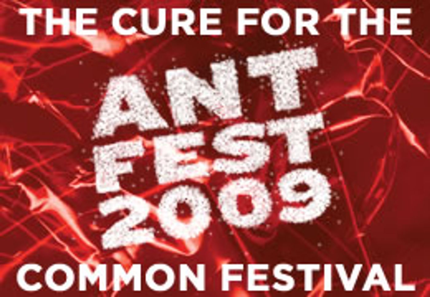 Photo Coverage: Opening Night of ANT FEST at Ars Nova  Image