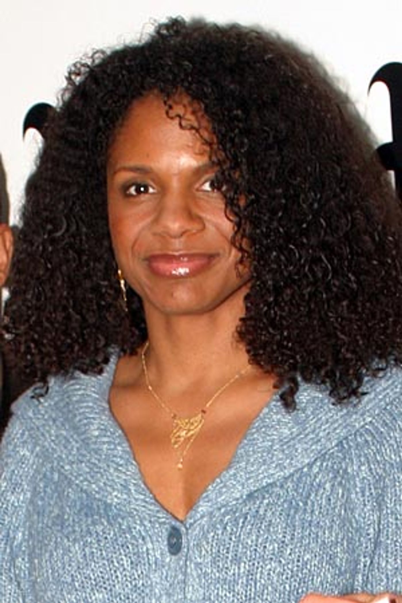 Photo Coverage: Stokes Mitchell, McDonald, Falco and More at  Image