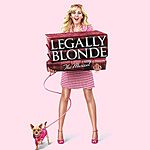 BWW Video Show Preview: Legally Blonde!