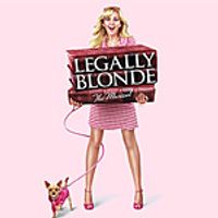 BWW Video Show Preview: Legally Blonde! Video