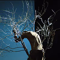 Martha Clarke Directs GARDEN OF EARTHLY DELIGHTS at Minetta Lane Starting 11/8