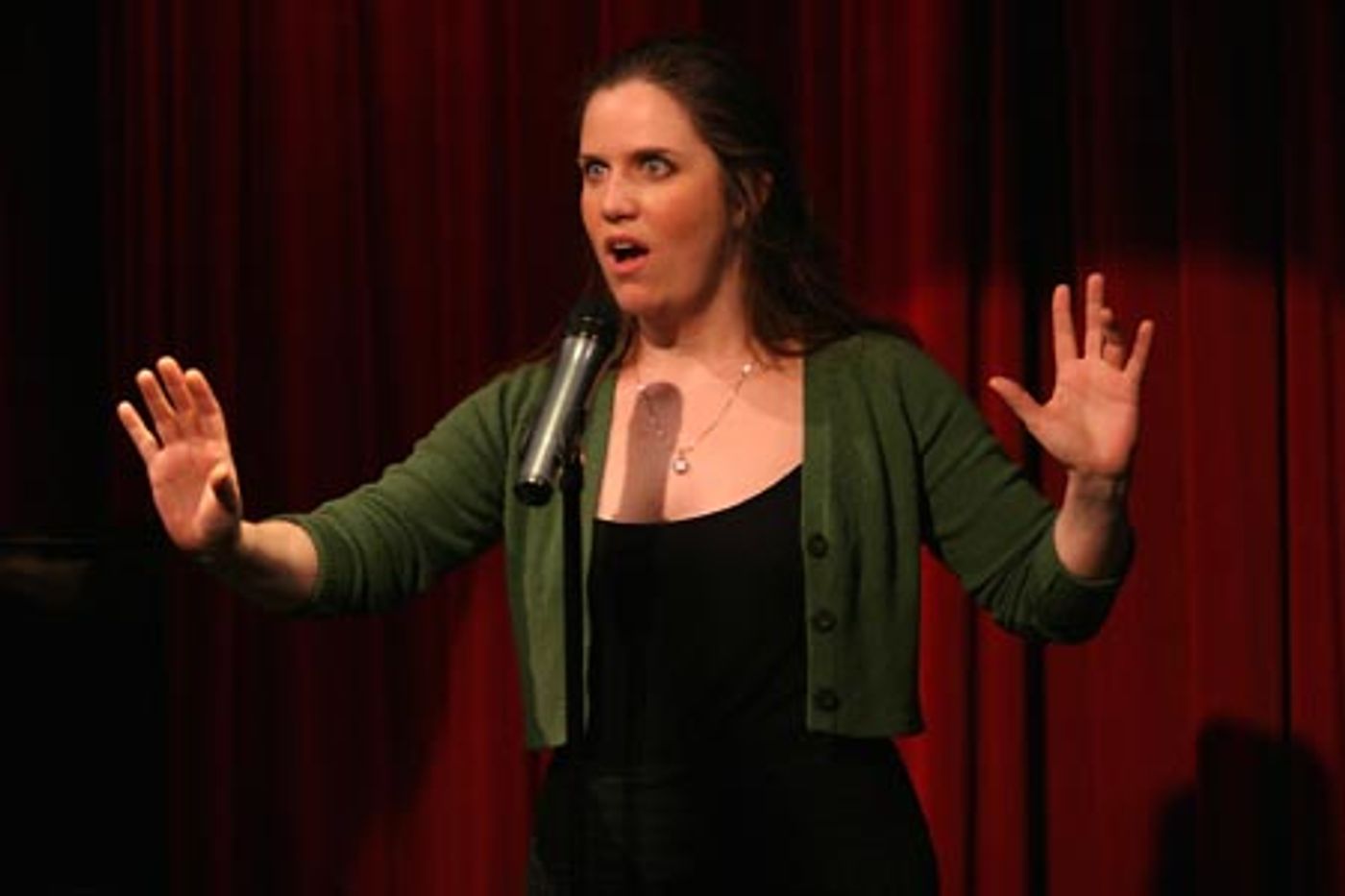 Photo Coverage: Donna Lynne Champlin's Ars Nova Concert  Image