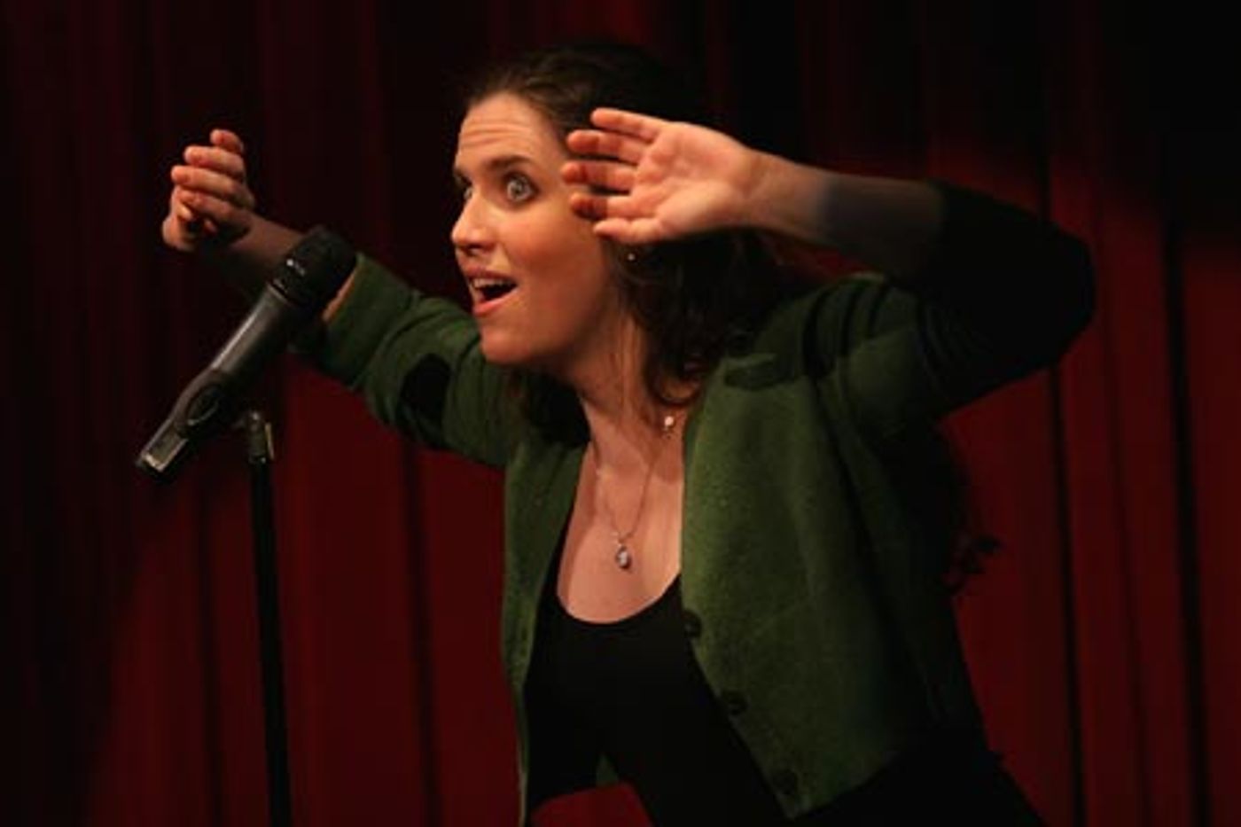 Photo Coverage: Donna Lynne Champlin's Ars Nova Concert  Image