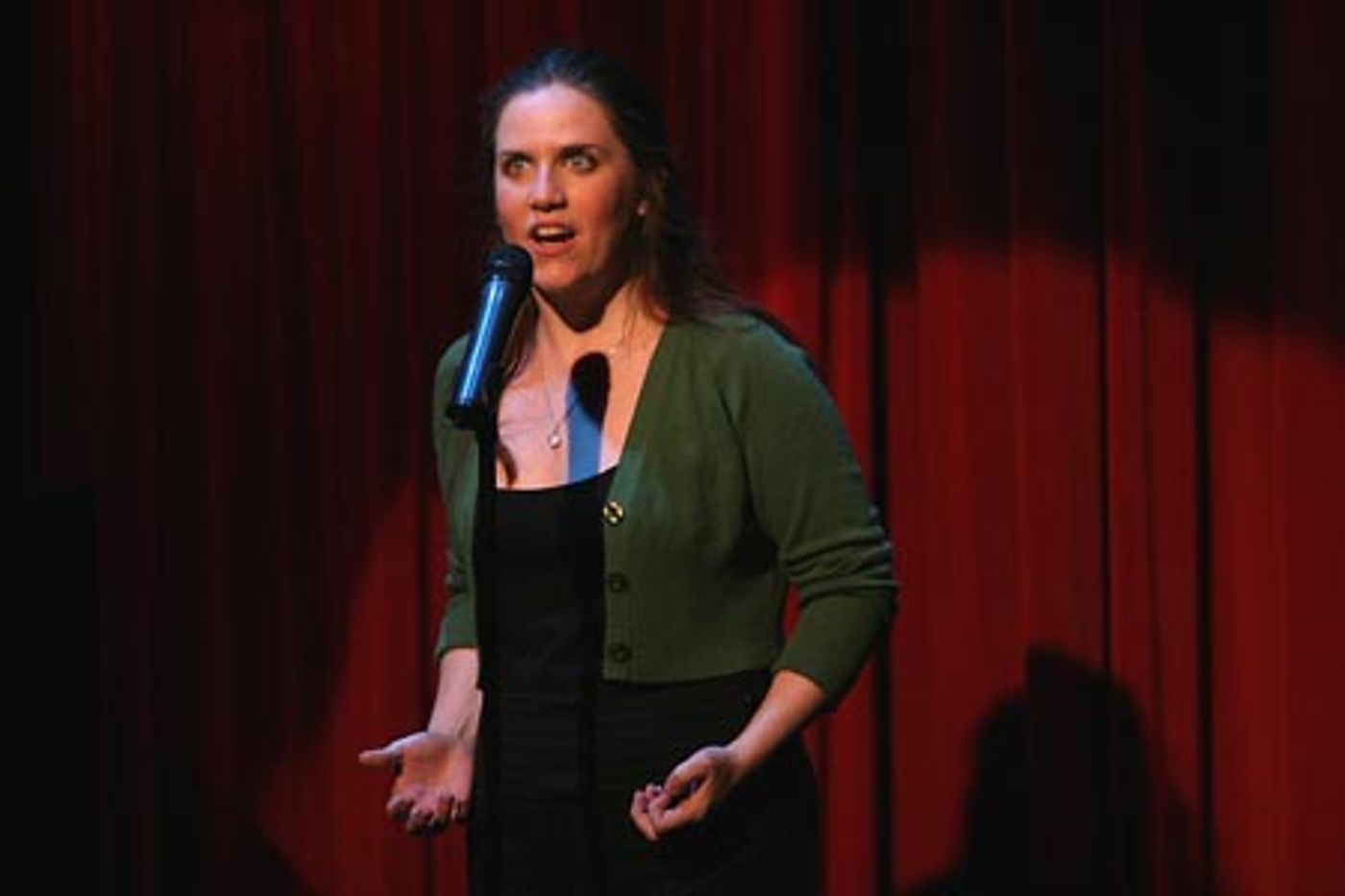 Photo Coverage: Donna Lynne Champlin's Ars Nova Concert  Image