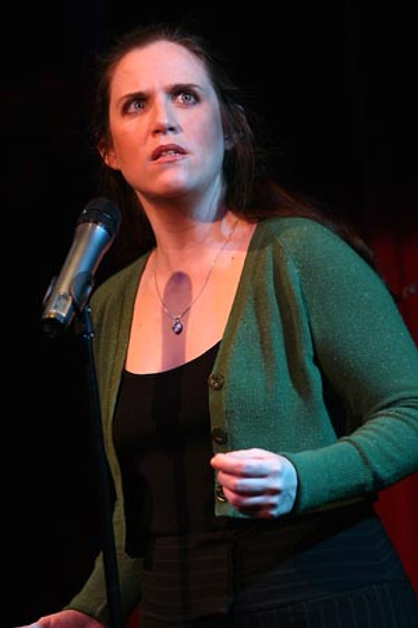 Photo Coverage: Donna Lynne Champlin's Ars Nova Concert  Image