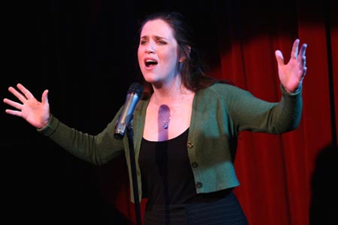 Photo Coverage: Donna Lynne Champlin's Ars Nova Concert  Image