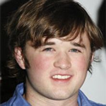 Haley Joel Osment to Make Broadway Debut in 'American Buffalo'