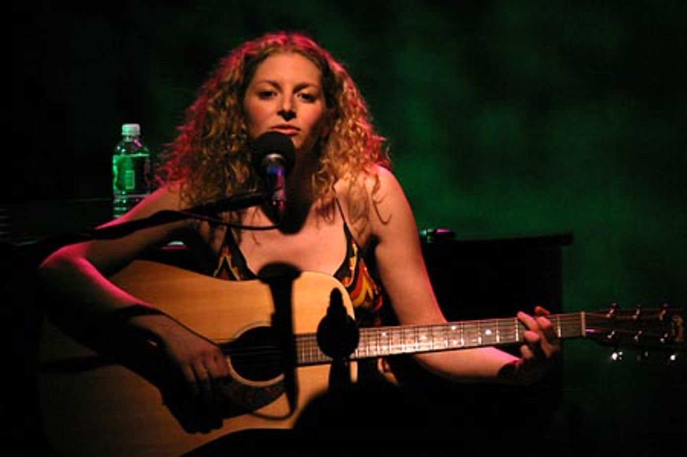Photo Coverage: Lauren Molina Concert at the Duplex  Image
