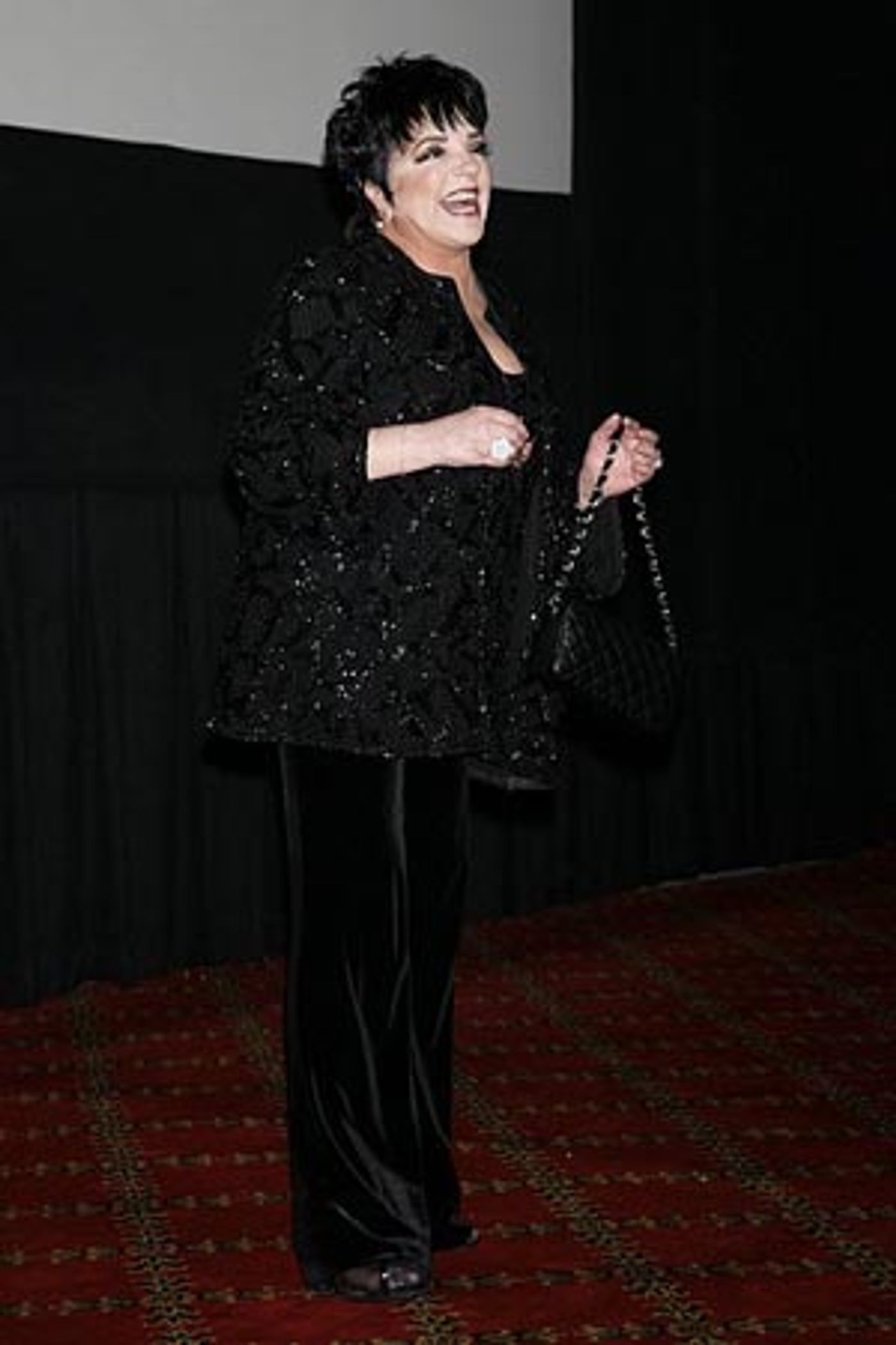 Photo Coverage: Liza with a 'Z' Screening at the Ziegfeld Theatre  Image