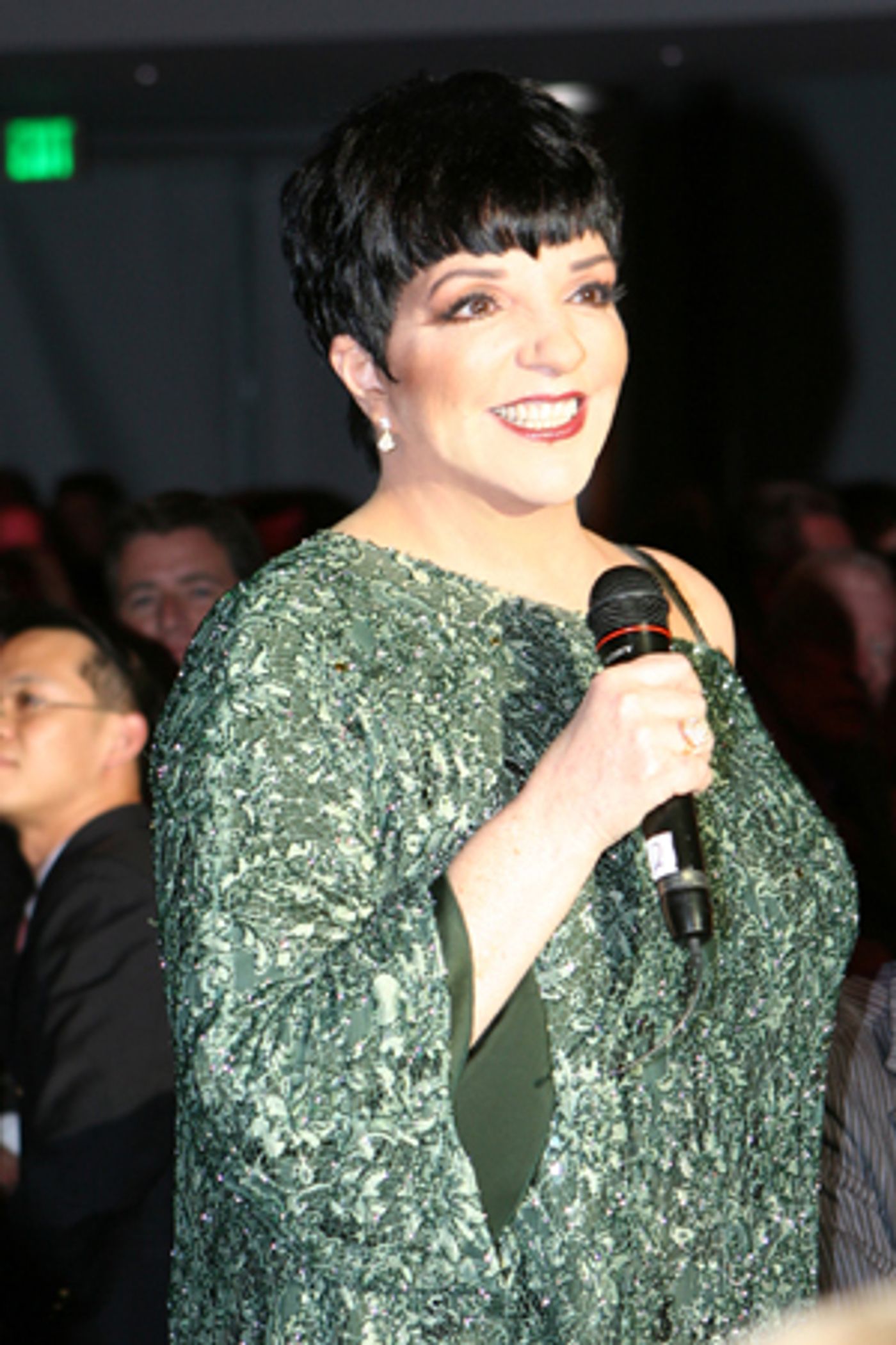 Photo Coverage: Liza Minnelli Honored by Actors' Fund  Image