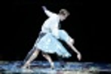 Boston Area Gets Wild and Crazy