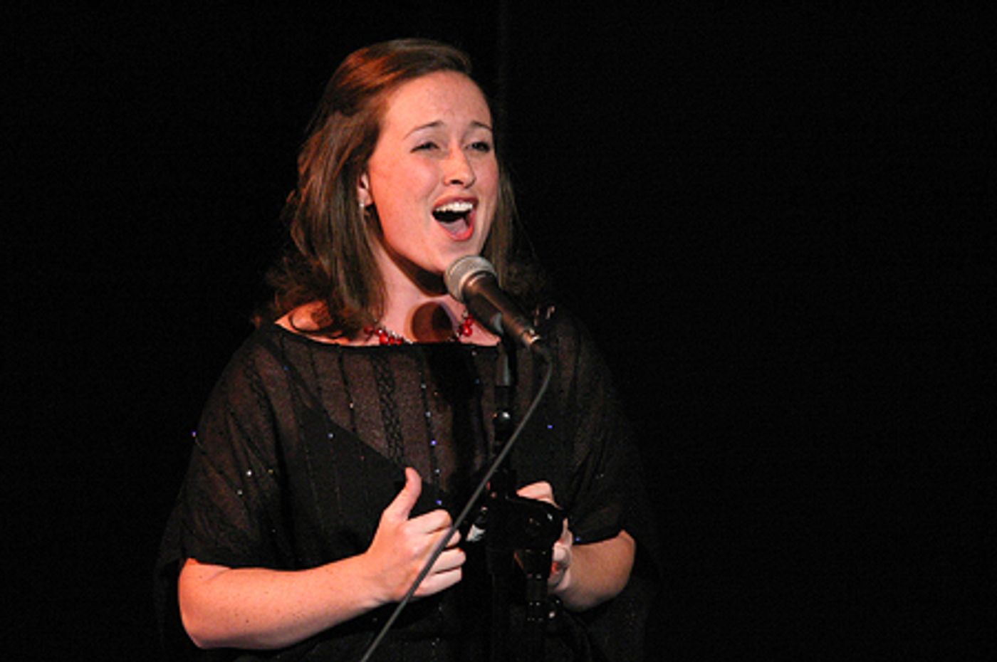 Photo Coverage: Raise the Roof Benefit Concert  Image