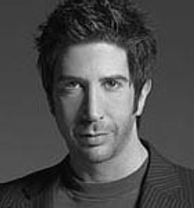Q&A with David Schwimmer
