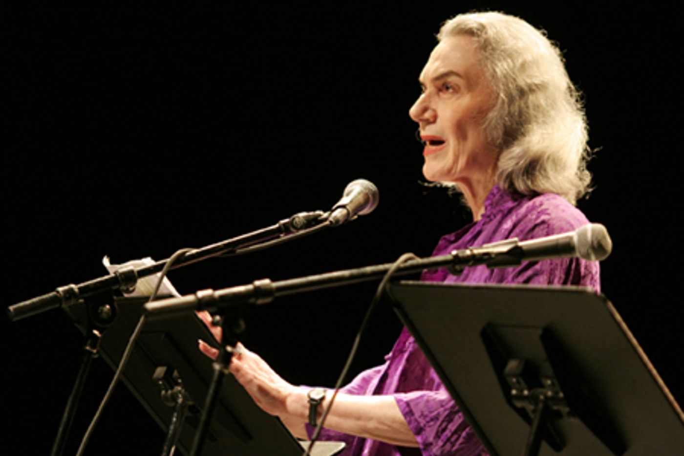 Photo Coverage: A Life in the Theatre - Onstage and Off  Image