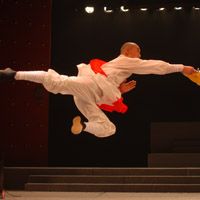 SOUL OF SHAOLIN to Open at Broadway's Marquis Theatre 1/15