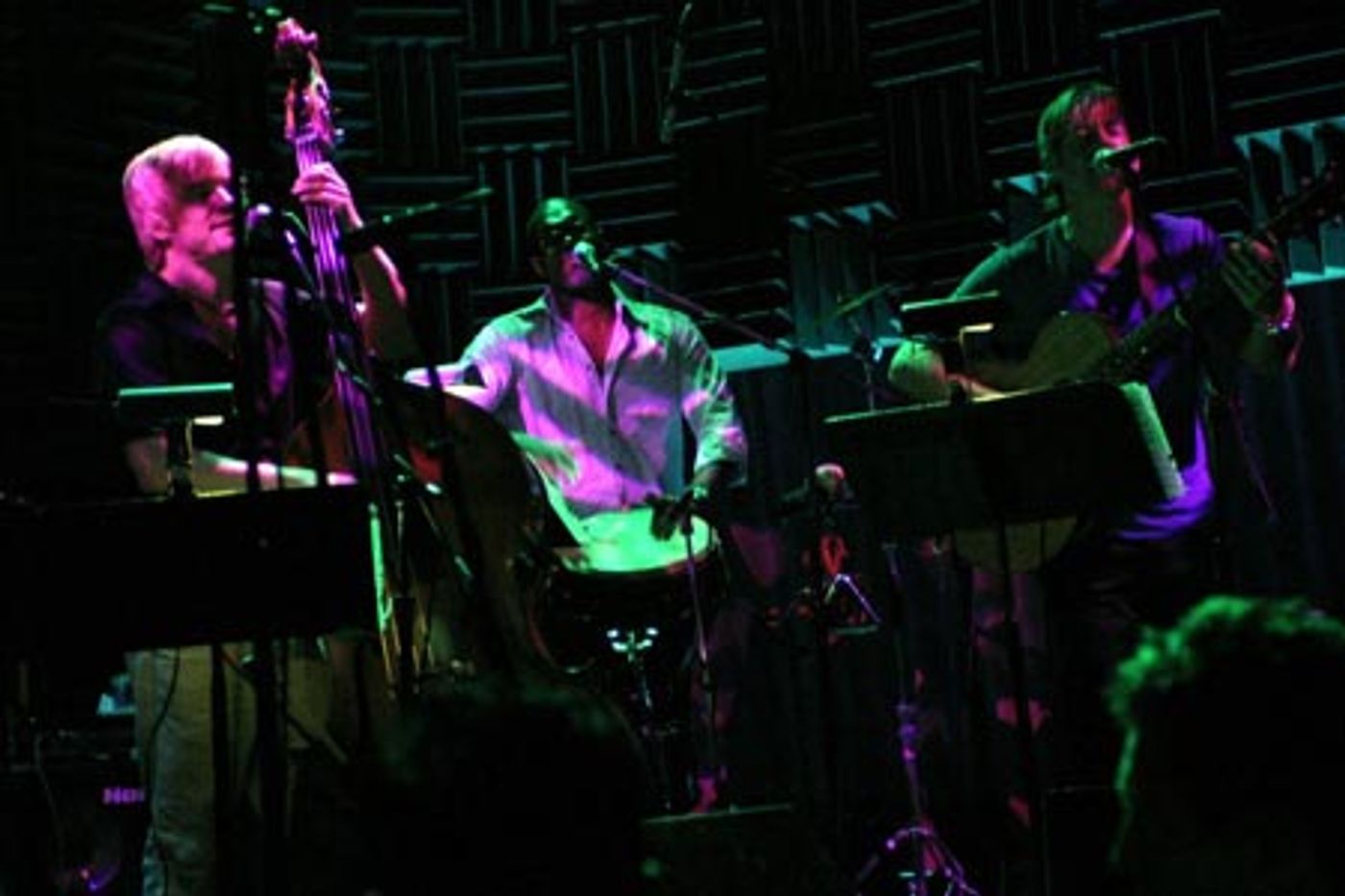 Photo Coverage: Bob Stillman at Joe's Pub  Image