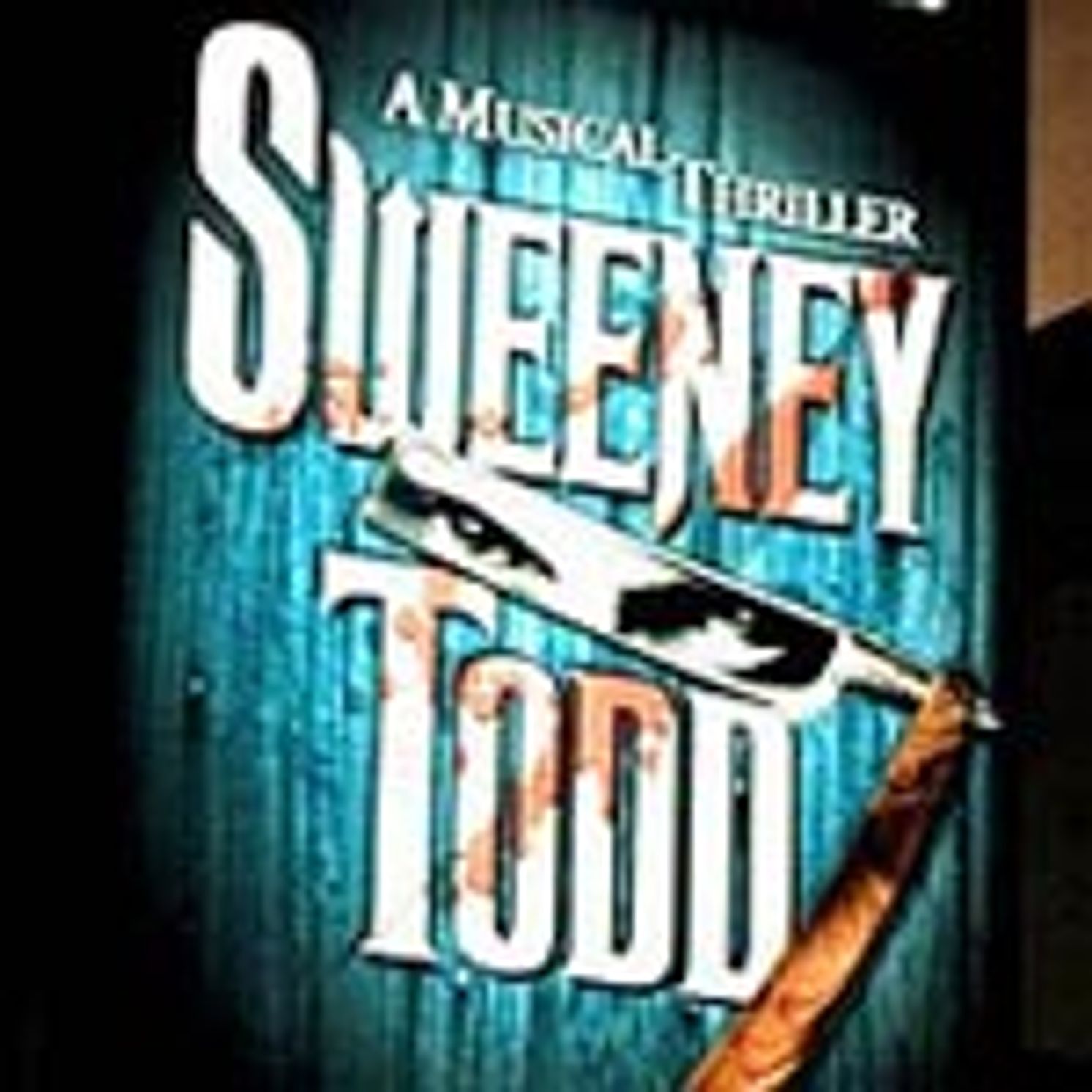 Photo Coverage: Opening Night Arrivals at Sweeney Todd  Image