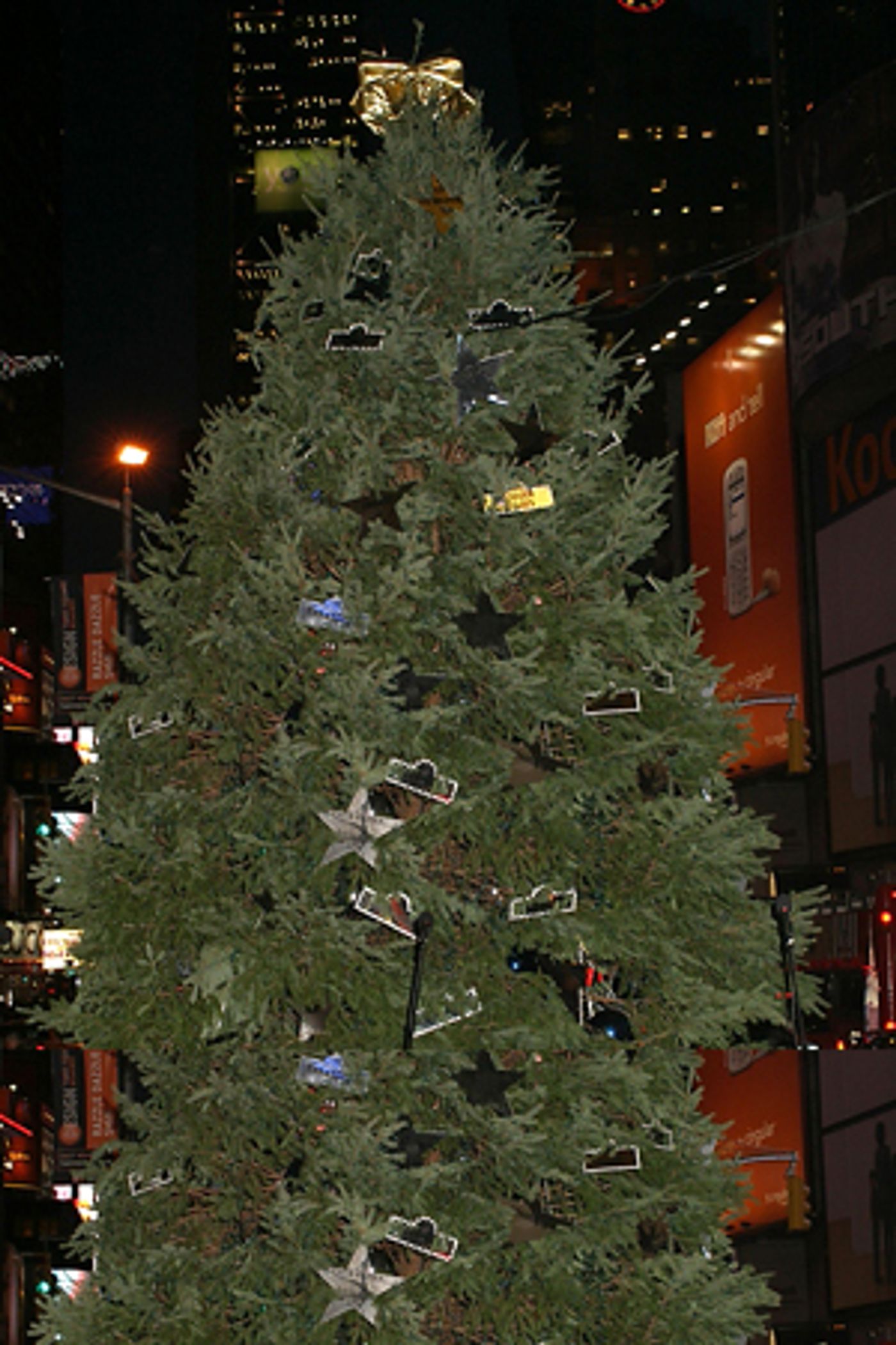 Photo Coverage: Chita Rivera and David Hyde Pierce Light the Broadway Holiday Tree  Image
