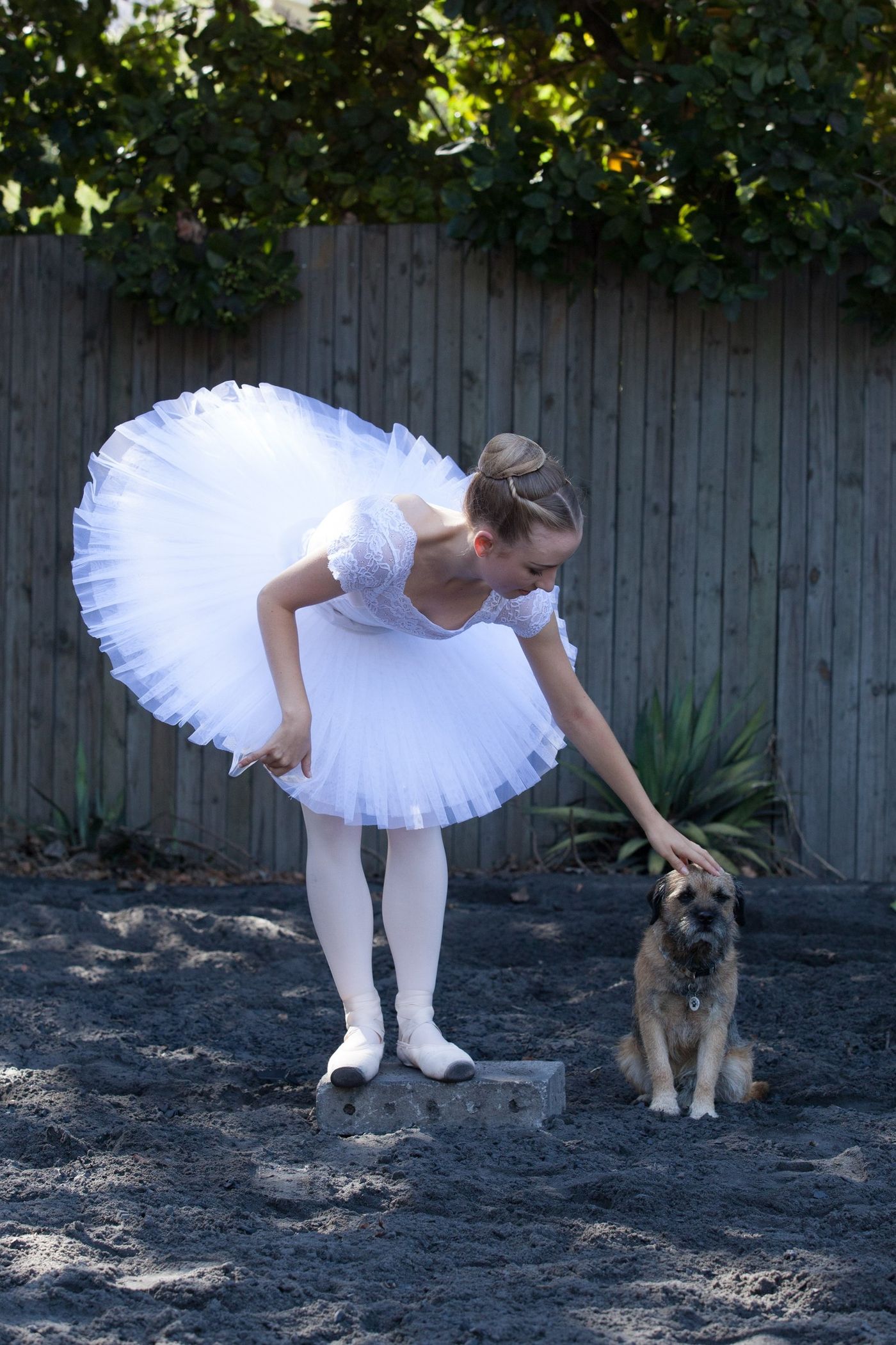 Annual DANCERS LOVE DOGS Onstage at Artscape this November  Image