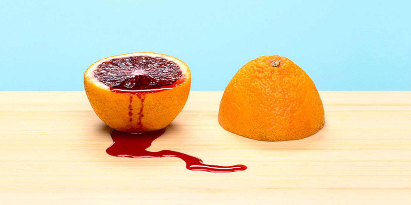 Review: THE PHLEBOTOMIST, Hampstead Theatre Review: THE PHLEBOTOMIST, Hampstead Theatre Image