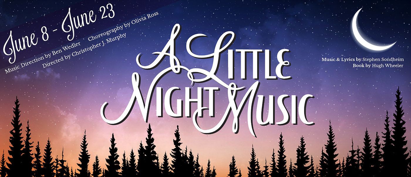 Review: A LITTLE NIGHT MUSIC at ARENA DINNER THEATRE  Image