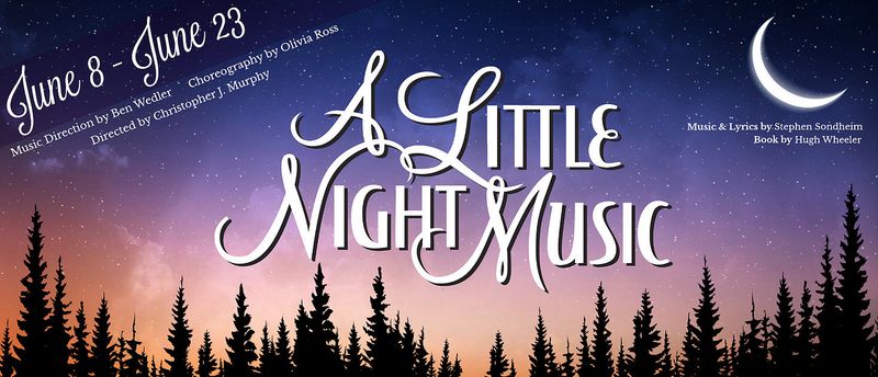 Review: A LITTLE NIGHT MUSIC at ARENA DINNER THEATRE Image