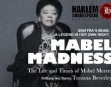 Photo Flash: Trezana Beverley Headlines As Mabel Mercer In MABEL MADNESS