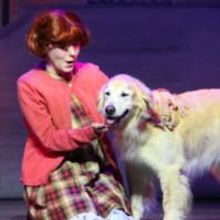 Photo Flash: ANNIE Shines At Broadway Palm