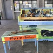 Photo Flash: Public Piano Debuts In Wills Park In Alpharetta On July 15th
