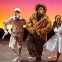 Photo Flash: First Look at THE WIZ At Broward Stage Door Theatre