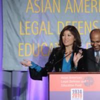 Photo Flash: Aasif Mandvi And Juju Chang Celebrate AALDEF's 45th Anniversary In NYC…