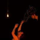 Back Alley Productions Celebrates Their 10th Anniversary With Peter Shaffer's EQUUS…