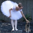 Annual DANCERS LOVE DOGS Onstage at Artscape this November