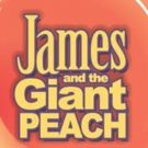 BWW Review: JAMES AND THE GIANT PEACH at DreamWrights Center For Community Arts
