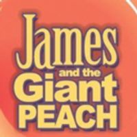 BWW Review: JAMES AND THE GIANT PEACH at DreamWrights Center For Community Arts Photo