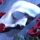 VIDEO: Interviews and behind the scenes THE PHANTOM OF THE OPERA, Oslo
