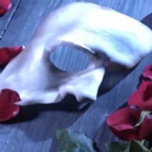 VIDEO: Interviews and behind the scenes THE PHANTOM OF THE OPERA, Oslo