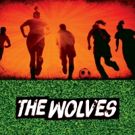 THE WOLVES Hit the Pitch in St. Louis
