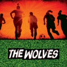 THE WOLVES Hit the Pitch in St. Louis