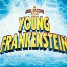 Lightning Bolt Productions To Present YOUNG FRANKENSTEIN - THE MEL BROOKS MUSICAL