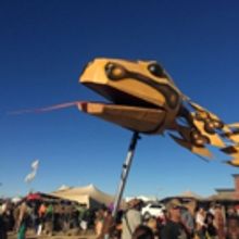 PYTHON AND THE QUNUBE TREE Comes to Masque Theatre