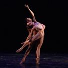 The Gerald Arpino Foundation Announces Dimensions Dance Theatre of Miami's…