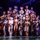Review Roundup: CATS on Tour at the Pantages - Did the Critics Take Away a Positive…