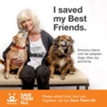 Musical legend Emmylou Harris lends her voice to shelter dogs