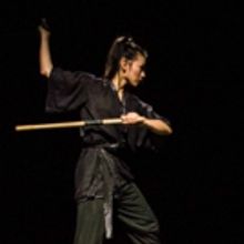 NINJA BALLET Announces its 2018 Season at The Secret Theatre In Long Island City