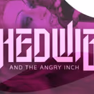 HEWIG AND THE ANGRY INCH Comes to the Sharadin Bigler Theatre