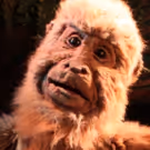 An Unforgettable Experience: Center for Puppetry Arts presents RAINFOREST ADVENTURES
