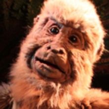 An Unforgettable Experience: Center for Puppetry Arts presents RAINFOREST ADVENTURES