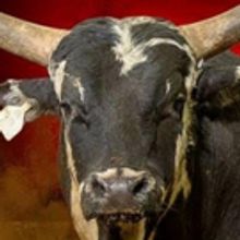 PBR Bucks Into Casper With Velocity Tour On March 30th