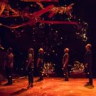 BWW Review: Poignant & Powerful THINGS I KNOW TO BE TRUE Grips the Milwaukee…
